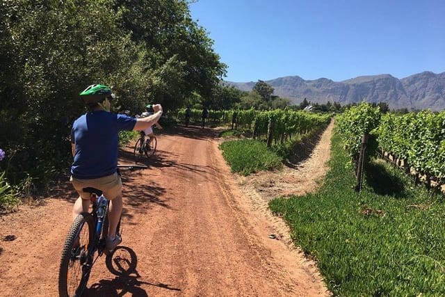 Franschhoek Cycle & Tasting Experience 3 Hour - Photo 1 of 14